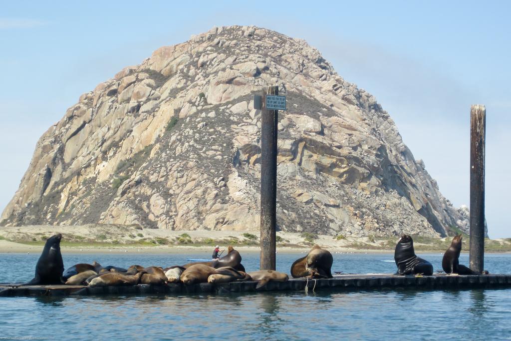 Morro Crest Inn Morro Bay Eksteriør bilde